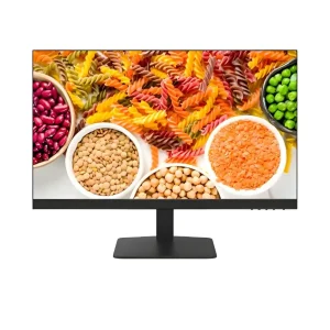 Hikvision DS D5024F2 24"